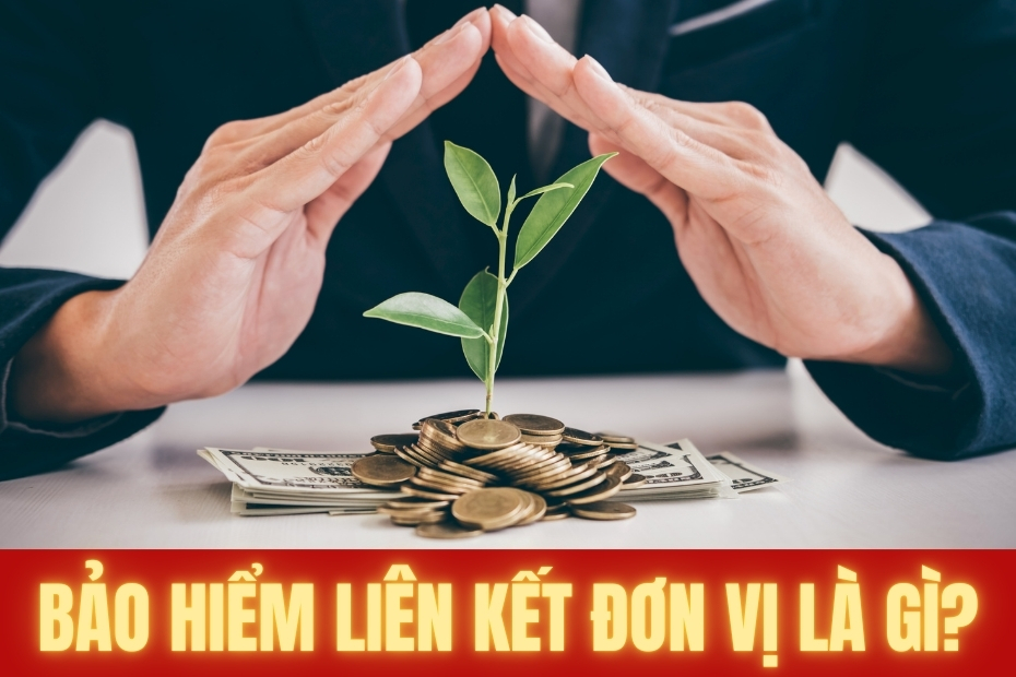Sản Phẩm Bảo Hiểm Liên Kết Đơn Vị Là Gì?